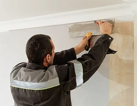 How FRANKLIN PAINTING SERVICES LLC Works